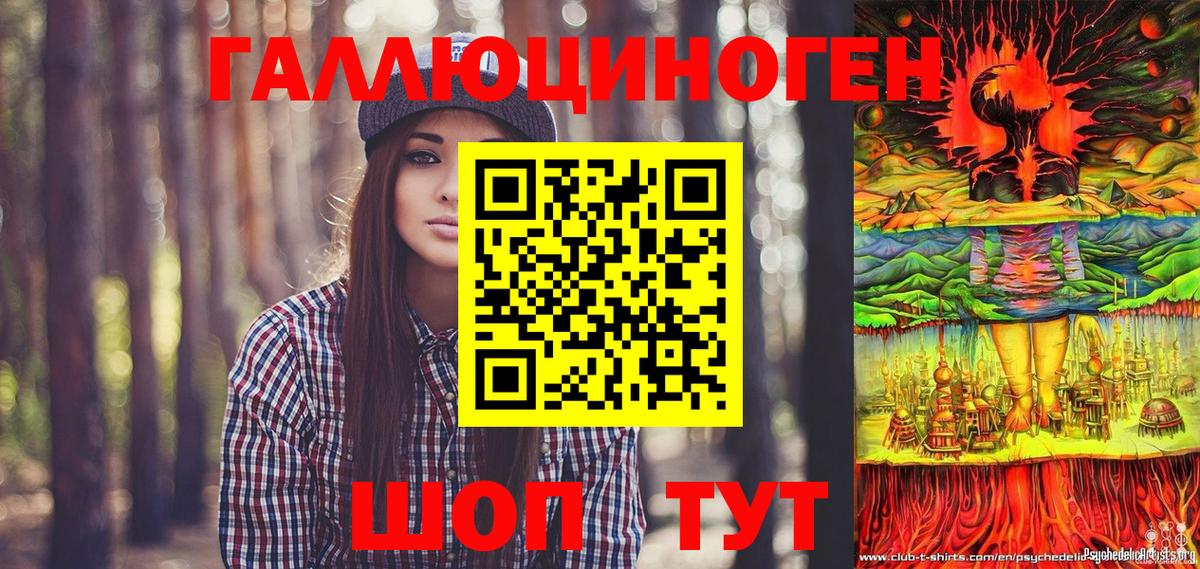 Псилоцибиновые грибы Psilocybe Коммунар