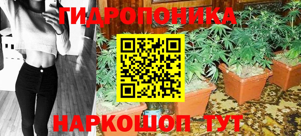 Канабис план  Марихуана планчик  Вход с VPN  Коммунар  Каннабис ГИДРОПОН 